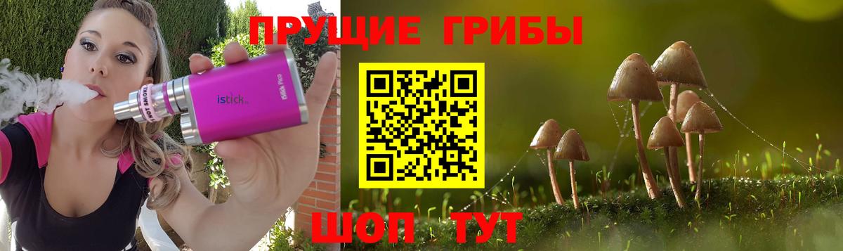 Галлюциногенные грибы мицелий  Вход с VPN  Псилоцибиновые грибы Psilocybe  Черногорск 